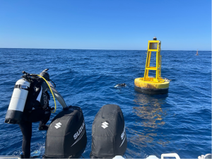 A diver about to jump off the back of a boat in the open blue ocean, some feet away from a yellow bouy.